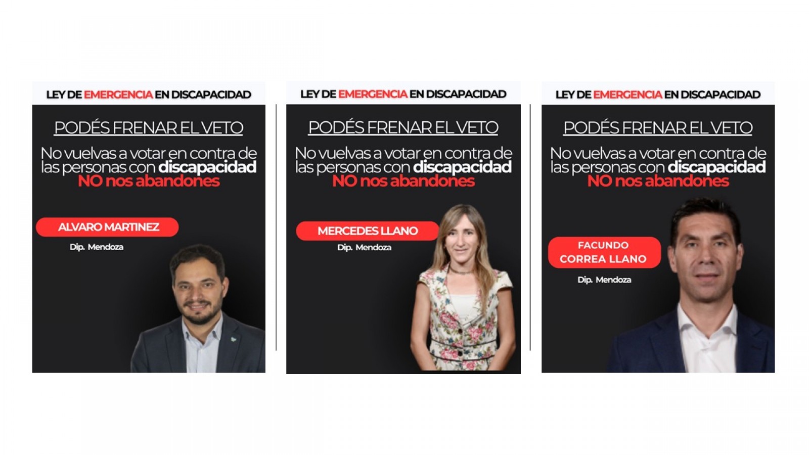 AIEPESA Mendoza pide a legisladores nacionales y a Cornejo  que actúen frente a la emergencia en discapacidad